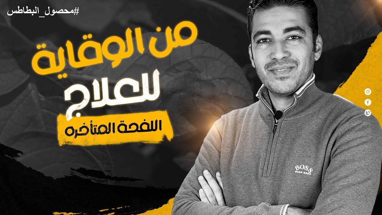 سيطر على اخطر امراض البطاطس والطماطم || اللفحة المتاخره