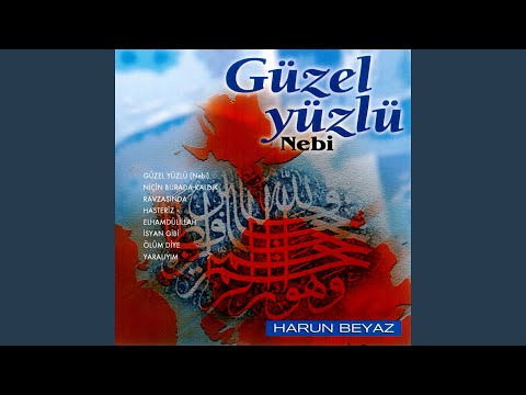 İsyan Gibi