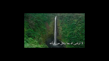 عزيز علي قلبي إلقاء شريفه علي 