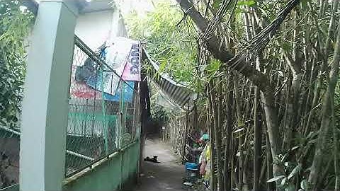 # 266 Đường mòn Cồn Khương, khu vực 3 Sông Hậu, Cái Khế, Ninh Kiều, Cần Thơ | Trang Hoà Vlogs