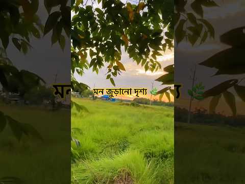 প্রকৃতির সুন্দর দৃশ্য 🌿| Ultimate Peace Of Nature #shorts #nature #viral