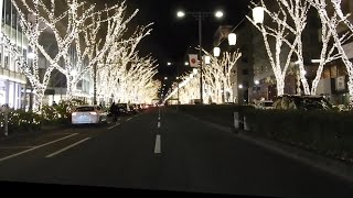 Winter illumination -Omotesando avenue, Tokyo Japan.　