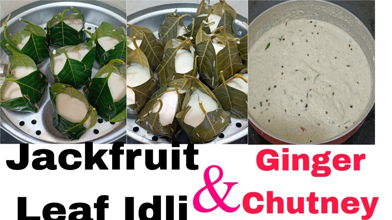 Kotte Idli | Jackfruit Leaf Idli | Traditional Gunda Idli Recipe 😋🌿ಹಲಸಿನ  ಎಲೆಯ ಕೊಟ್ಟೆ ಇಡ್ಲಿ