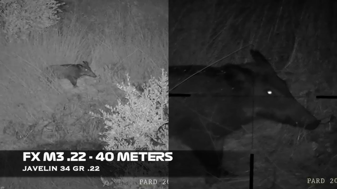 Boar Hunting Fx M3.22