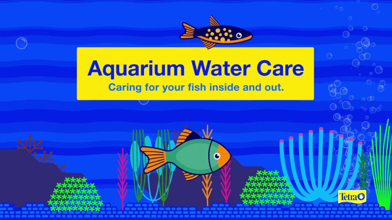 aquarium water care