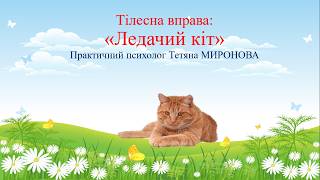 Вправа для боротьби зі стресом: "Ледачий кіт"