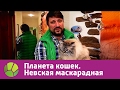 Невская маскарадная. Планета кошек | Живая Планета