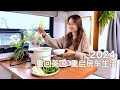 RVlog｜重回美国 重启房车生活事情还挺多｜生鲜食材直接送到房车来 落地就吃火锅