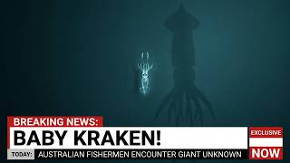 Scientists Just Filmed a Baby Kraken Alive for the First Time — It Is Bigger than We thought