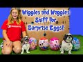 Assistant Tests Wiggles and Waggles Ability to Find Surprise Eggs