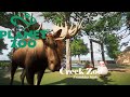 Planet Zoo || Franchise Mode || Creek Zoo || Episode 30 Moose Habitat