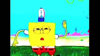 where they at tho SpongeBob #memehub  #funnymemes  #memes