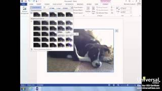 Working With Graphics and Pictures in Microsoft Word 2013 Tutorial