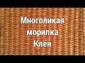 Многоликая морилка Клён.