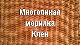 Многоликая морилка Клён.