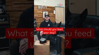 What should you FEED your dog? #rawdiet