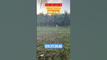 Đất nền giá rẻ full thổ cư 300triệu,xã Bình Ninh,Chợ Gạo,Tiền Giang#shorts #bds #mientay#nhadat #bds