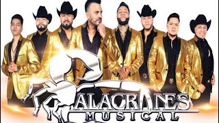 Alacranes musical en Aldea XEAJ San Francisco la unión Quetzaltenango