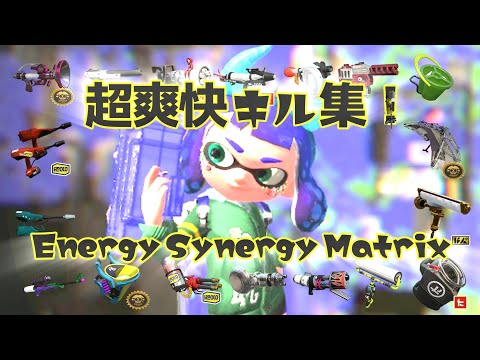 マルチウェポナーが魅せる超爽快キル集！ × EnergySynergyMatrix