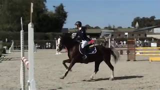CSO Amateur 2 Vitesse (1,10m) - Villers Vicomte (24 septembre 2017)