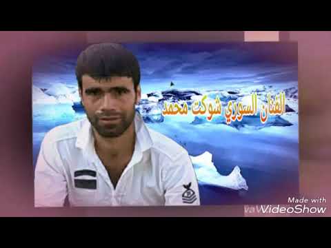 الفنان شوكت محمد 