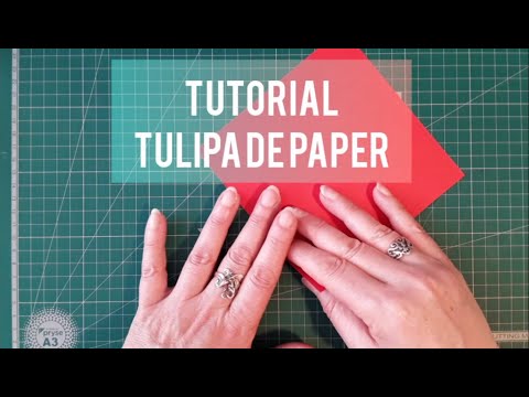 Vídeo: Com Fer Una Tulipa Amb Paper