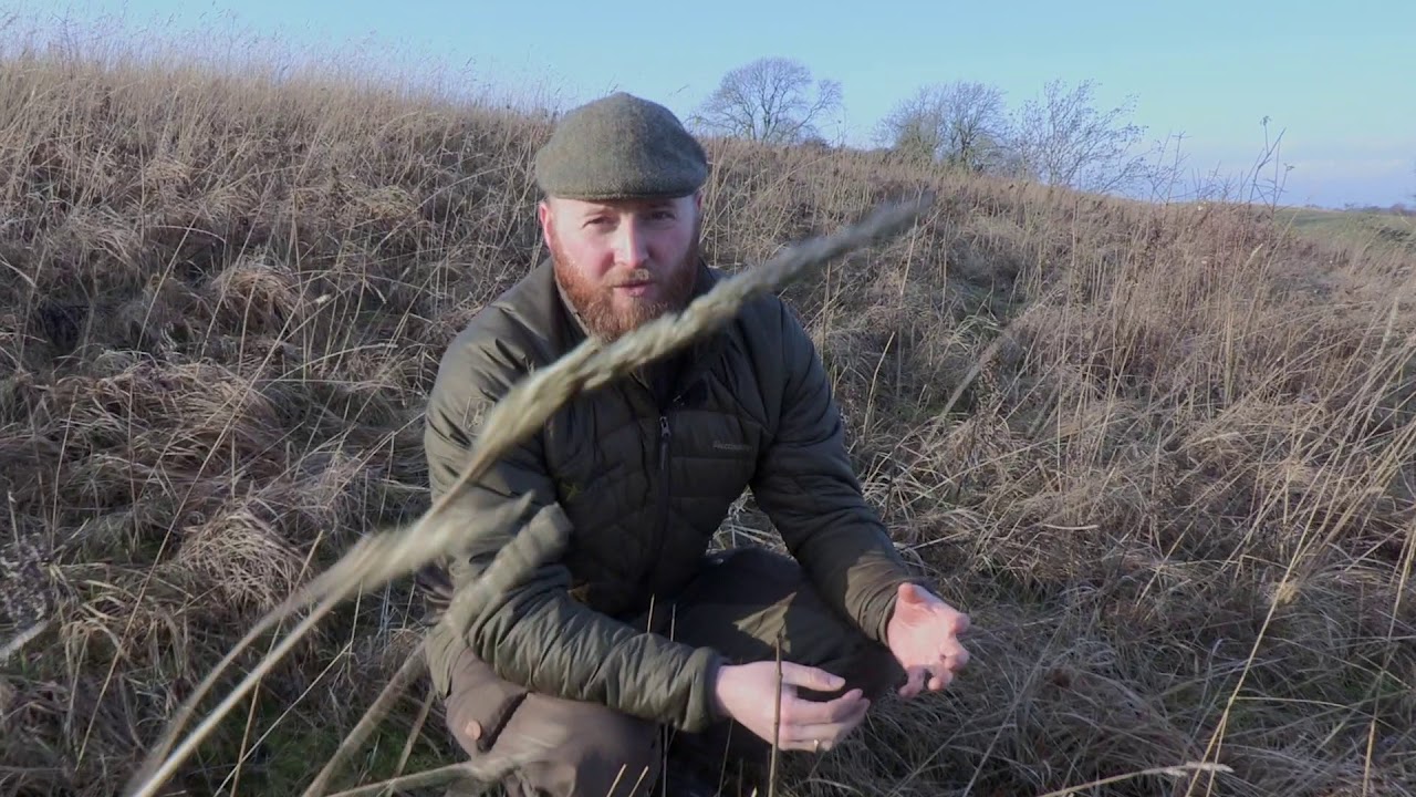 Projekt Natur og Vildtpleje