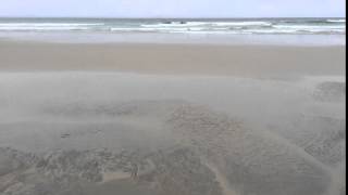 Duxbury outer beach low tide HD time lapse