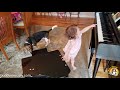 NEW!!!!! Buddy Mercury and Lil Sis Dueling Piano Jam!