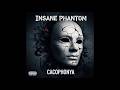 Insane Phantom Night Drive Ft InsaneGina Official Audio New Chillwave Hip Hop 2026 