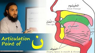 Articulation Point (Makhraj) of Noon ( ن ) | Lesson 25