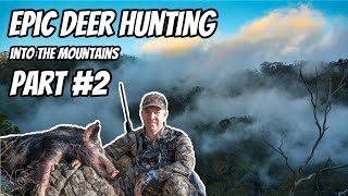 Deer Hunting Part # 2 || Fallow & Red Deer Rut || 30-06 Rifle || Stalking screenshot 4