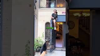 Cô bé chơi trốn tìm với chú chó