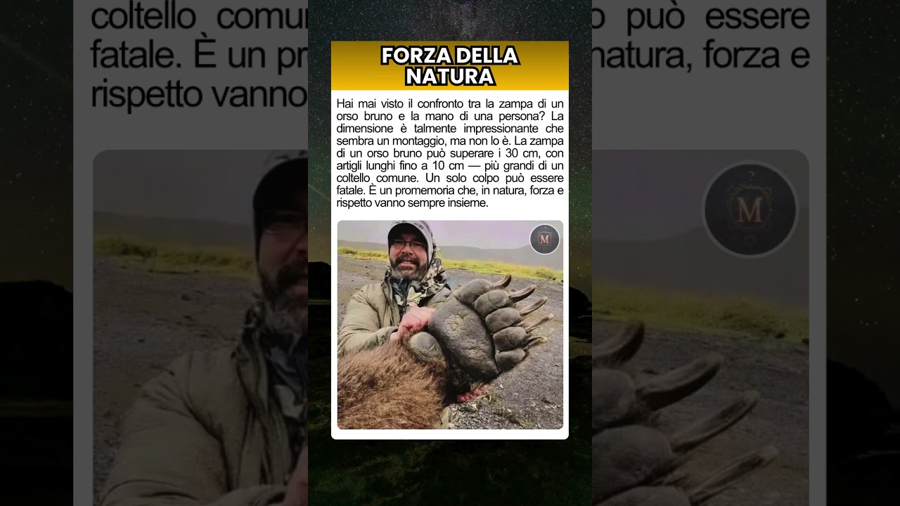 La zampa dell’orso bruno: una forza incredibile