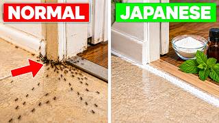 The Japanese Method to Keep Ants Out of Your Home Forever No Pesticides