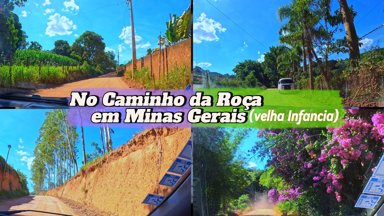 Voltei na Roça onde eu nasci 🫰🏻(O Caminho que marcou minha infacia na zona rural em MG