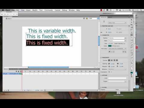 Type in Flash CS4