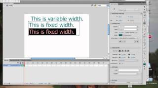 Type in Flash CS4
