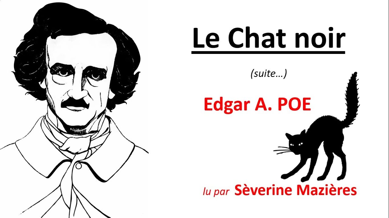 Le Chat noir suite Edgar Allan POE nouvelle fantastique - YouTube