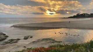 Virtual Tour: Carmel River Lagoon