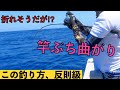 【ジギング最終兵器】青物・マグロ何でも来い！スロータックルでもできちゃうエビング！【小笠原 父島 ぎょうてん丸】Slow pitch Deep Amberjack Jigging