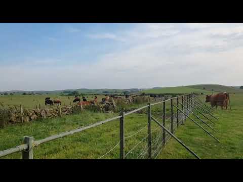 Torhouse Stone Circle