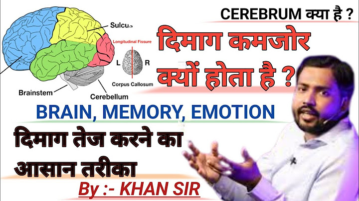 सेरीब्रम मजबूत कैसे करें और क्यों जरूरी है इसे मजबूत करना | दिमाग कमजोर होने के कारण || KHAN SIR ||
