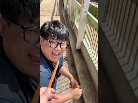 남편 놀리기 딱 <strong>좋은</strong> 제주ㅋㅋㅋ
