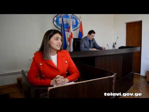 N7-გენდერული საბჭოს ანგარიში - 28.02.2020