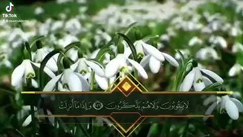 تلاوة عطره لأواخر سورة التوبة {وَإِذَا مَا أُنزِلَتْ سُورَةٌ نَّظَرَ بَعْضُهُمْ }