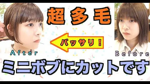 多毛のくせ毛さんを おしゃれなインナーカラーが映えるミニボブにバッサリカットしてみた Mp3 多毛のくせ毛さんを おしゃれなインナーカラーが映えるミニボブにバッサリカットしてみた Mp3