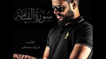 القارىء التريند شريف مصطفى | سورة القيامة | صوت لا مثيل له | تلاوة تأخذك إلى عالم آخر ✨