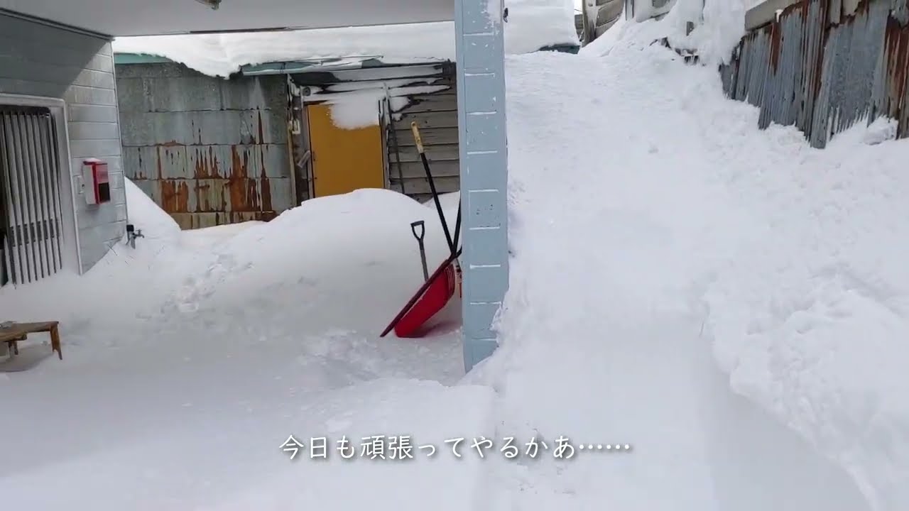 【除雪】暴風雪警報の次の日、落雪危機一髪#3【20240126】