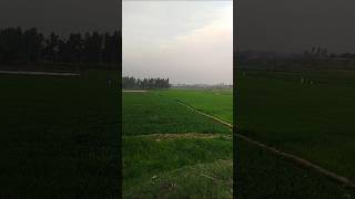 short video #campingadventure-1 #capming #campingvideo